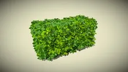 Hedge Bush Stylized