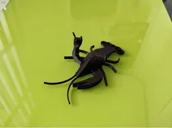 Rock Lobster Keychain