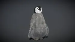 Baby Emperor Penguin ( Chick )