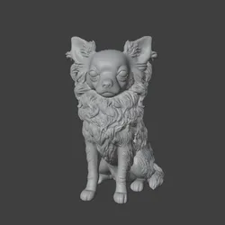 Chihuahua  Realistic