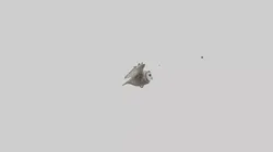 LongEared Owl flying model Low-poly 3D model