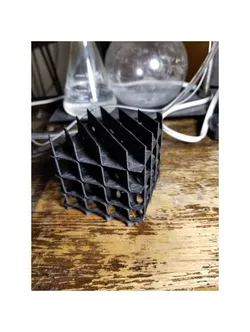 Developing D-type Minimal Surface
