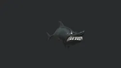 Sharp Shark