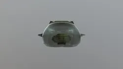 Shell