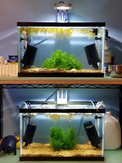 Aquarium LED Floodlight Tank Mount