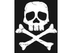 Captain Harlock space pirate skull
