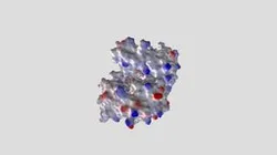 GAPDH + substrate