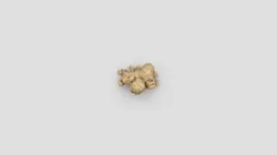 Ginger Fruits 3D Model