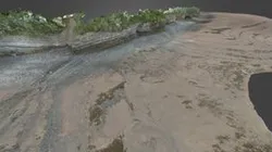 Horton Bluff - Beach Section