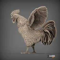 rooster flaps its wings