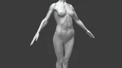 Athletic Female Body