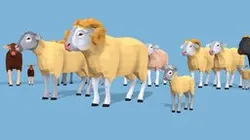 Low Poly Sheeps pack