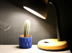 Pots