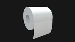 Toilet paper 1