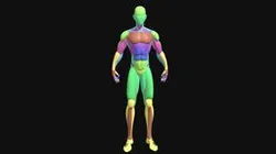 Base Mesh