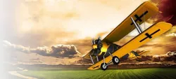 Biplane Low-poly 3D model