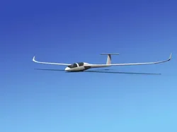 DG-1000 Glider Bare Metal 3D model