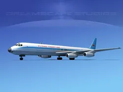 Douglas DC-8-63F Hunt Cargo 3D model