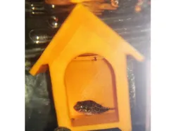Fish / Shrimp / Snail House