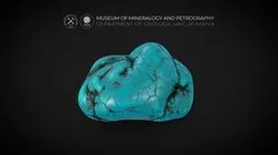 Polished Turquoise with black veins