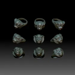 Ring cat