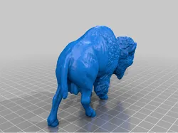 Bison