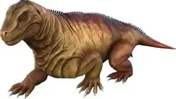 MOSCHOPS