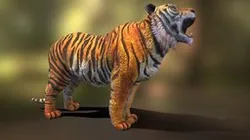tiger howl v04