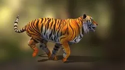 tiger run v03