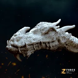 Dragon Head