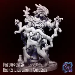 Bronze Dragonborn Sorcerer  |  Presupported