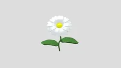 Daisy