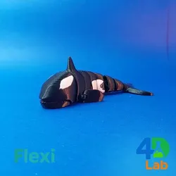 FLEXI - Killer whale (FLEXI, PRINT-IN-PLACE)