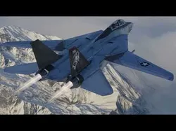Grumman F-14 Tomcat Low-poly 3D model