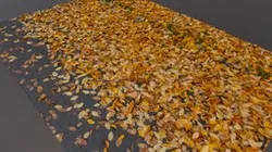 Leaf covered street road