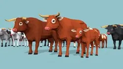 Low Poly Cows pack