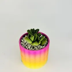 Double Spiral weave pot planter