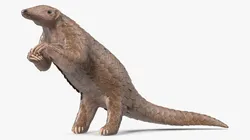 Realistic Pangolin in Standing Pose 3D model