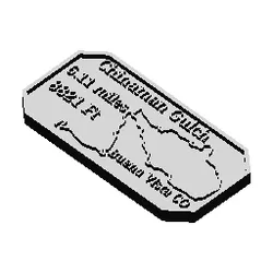 Chinaman Gulch Maverick's Trail Badge Buena Vista Colorado Yansing Gulch