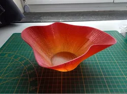 Dish