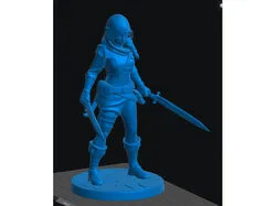 Elf Rogue Female 2