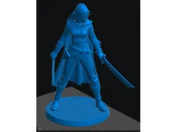 Elf Rogue Female 4