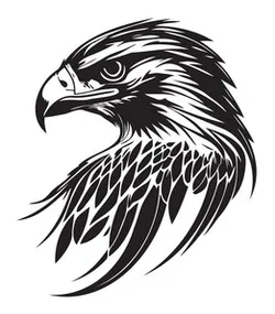 Hawk