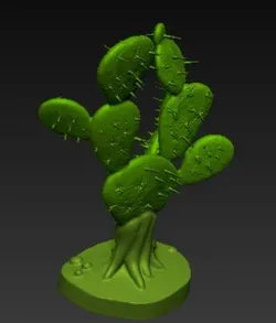 Nopal / Cactus