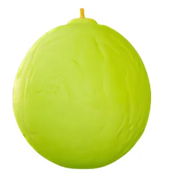 Wrinkled Lime Fruit