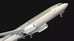 Boeing 737-800 Etihad Airways Low-poly 3D model