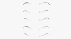 Eyebrows Shapes Set 3D model