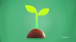 Plant Emoji new Animated Low-poly 3D model
