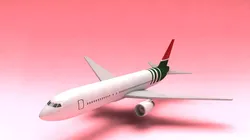 Airplane airliner flying in sky 3D model