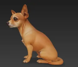 Miniature Pinscher - Mini